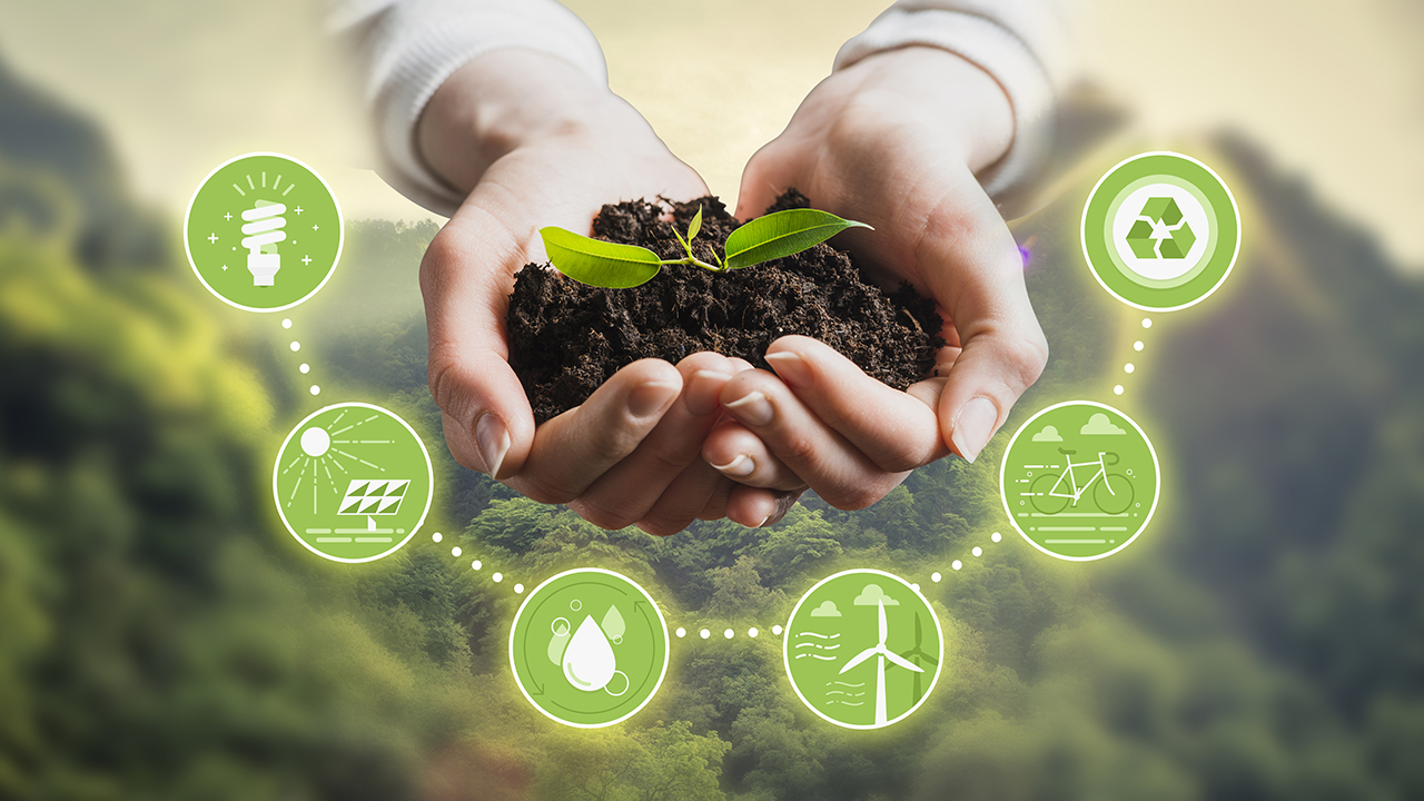 Sustainable Living Through Thoughtful Food Choices