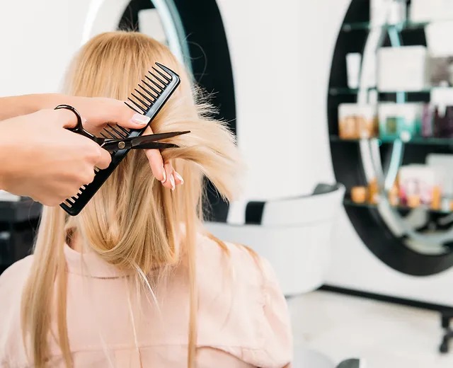 Compact Ionic Hair Dryer Perfect for Traveling