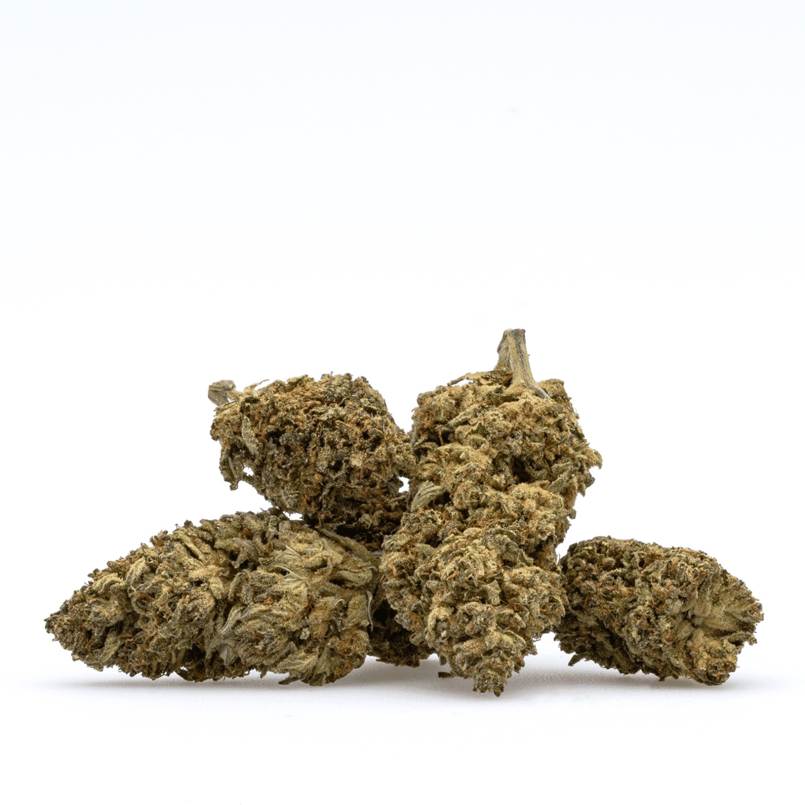Cannabis club hamburg – Blütenbande e.V. | Legal &amp; Transparent