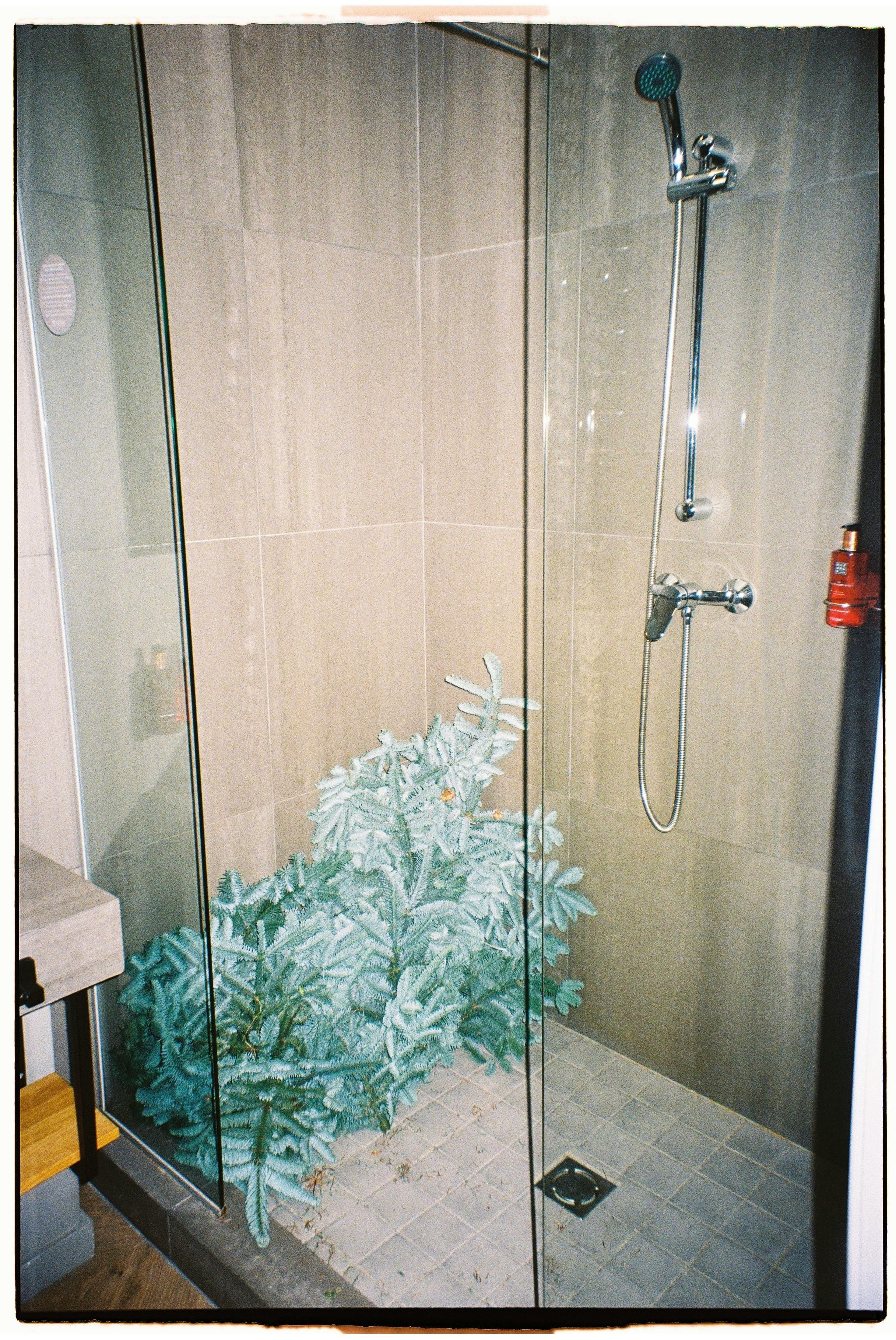 Stylish Shower Screens for Modern Homes