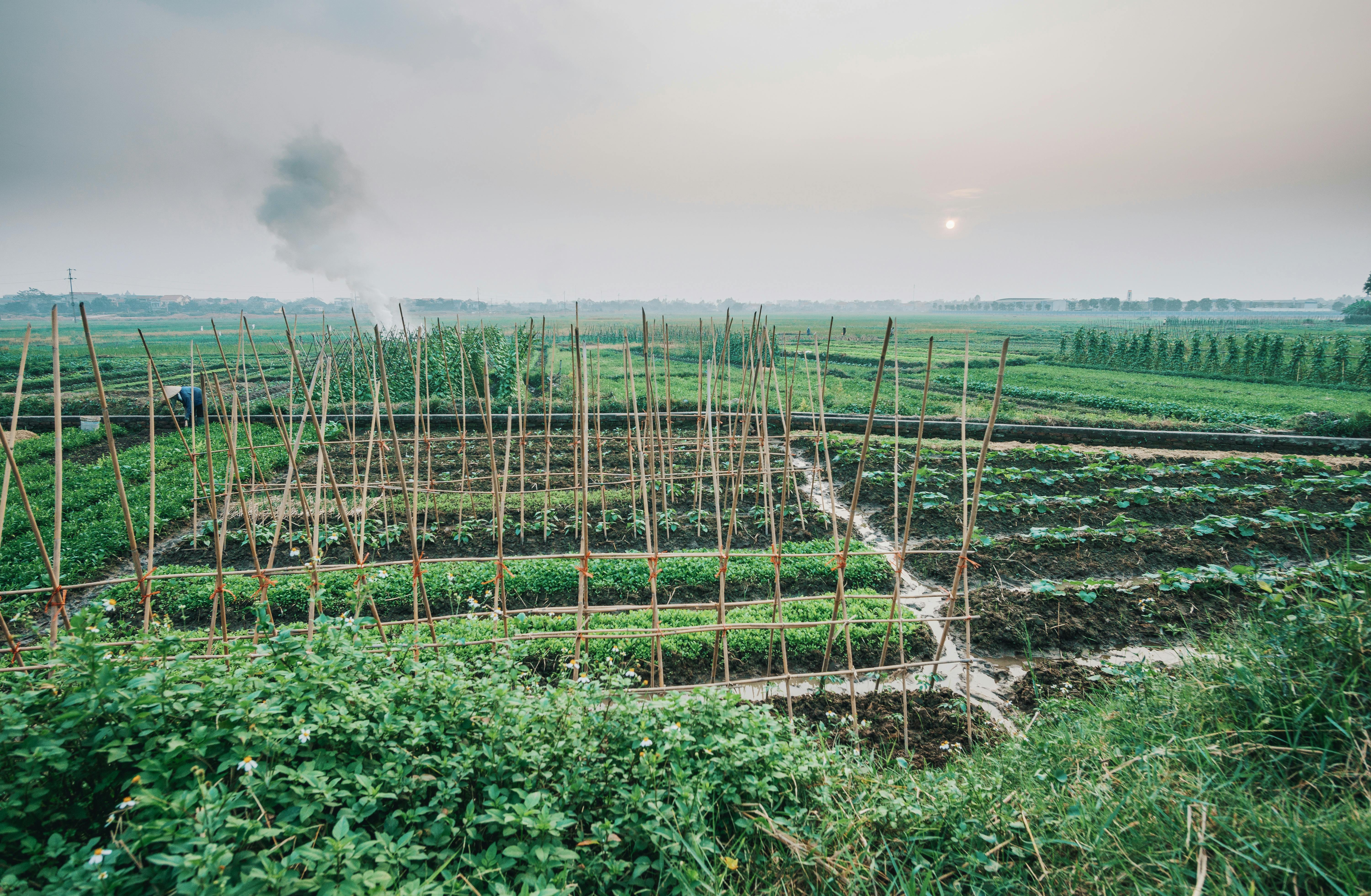 RELIABLE PROFESSIONAL IRRIGATION SERVICES IN KELLER, TX