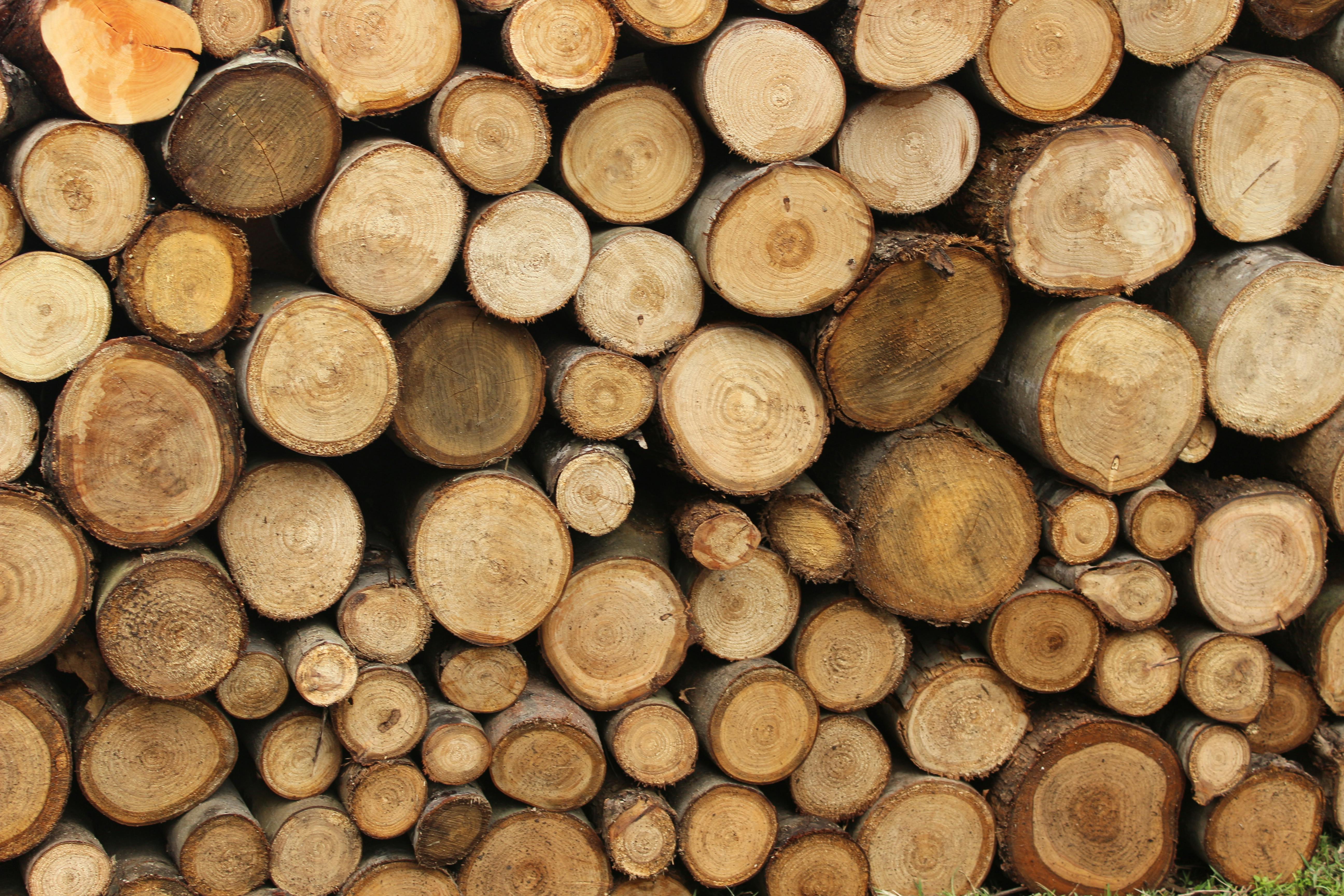 Buy Bulk Wood Briquettes Malta for Cost-Effective and Sustainable Heating