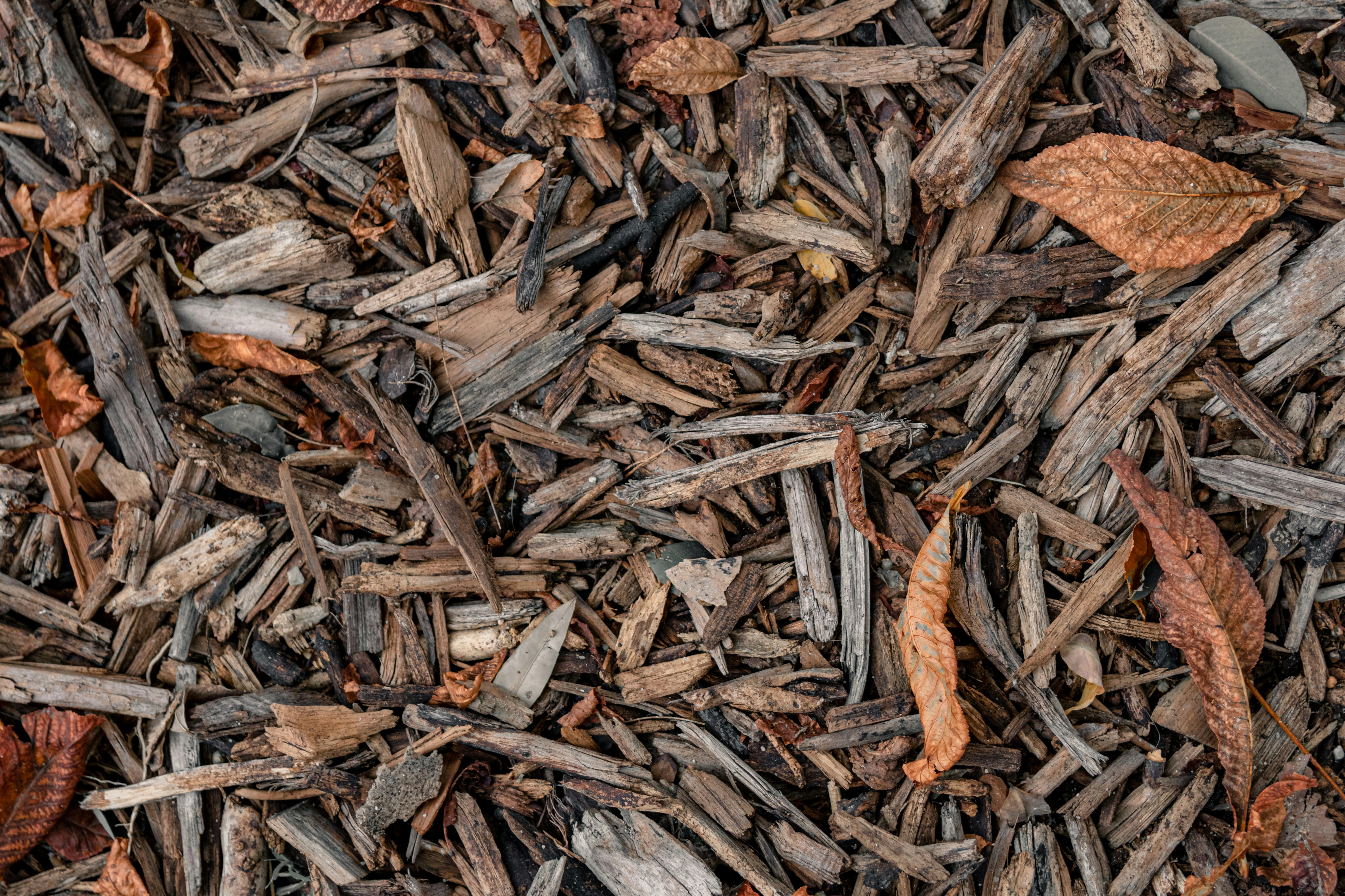 High-Absorbency Wood Shavings for Farms and Stables