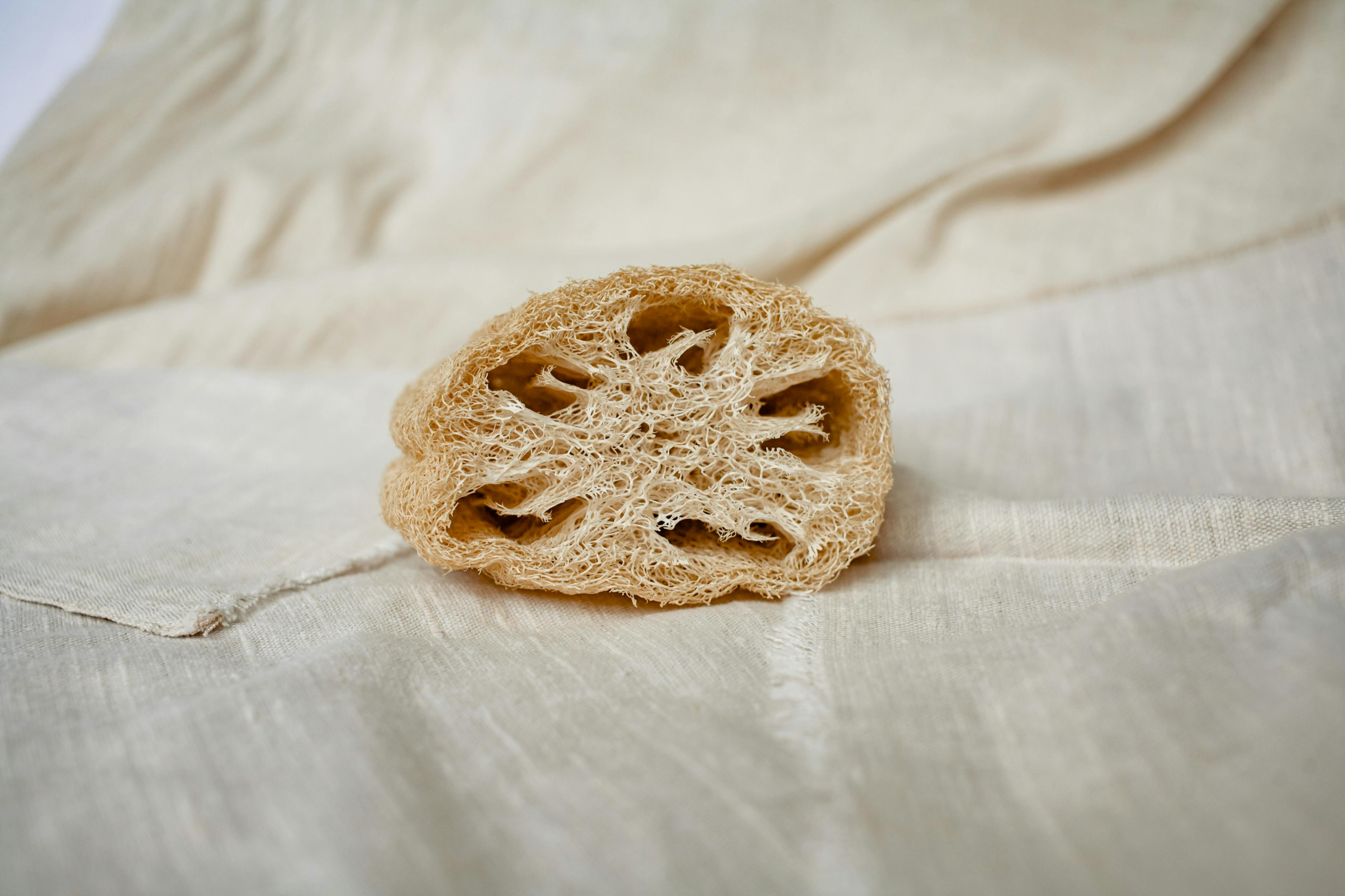 Best Back Loofah for Dry Skin During Winter